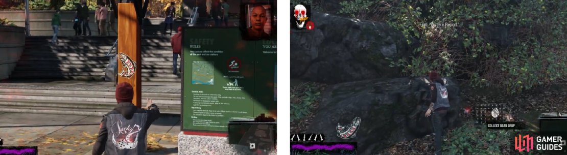 The fish stickers point in the direction of the story&rsquo;s location (left), which is hidden by some rocks (right).