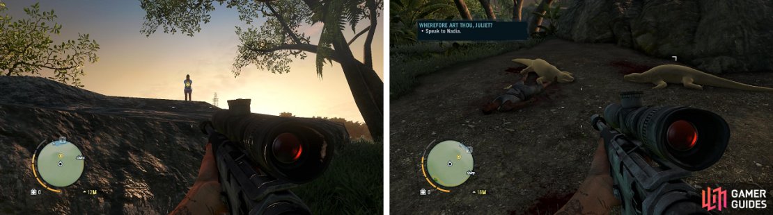 When you get to the spot, you&rsquo;ll find the guy has been killed by some wild animals. There&rsquo;s a total of five Komodo Dragons that you have to kill.