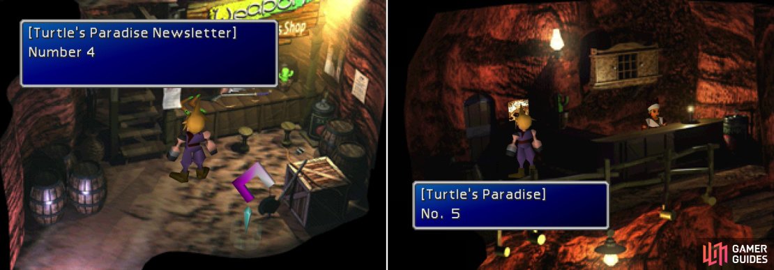 Find a Turtle&rsquo;s Paradise Newsletter outside the weapon shop (left) and the inn (right).