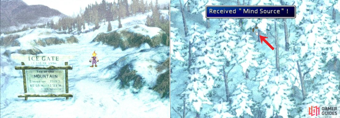 If you went left then right during the snowboarding mini-game, you&rsquo;ll end up at the Entrance area (left). Grab the Mind Source hidden in the Forest area (right).