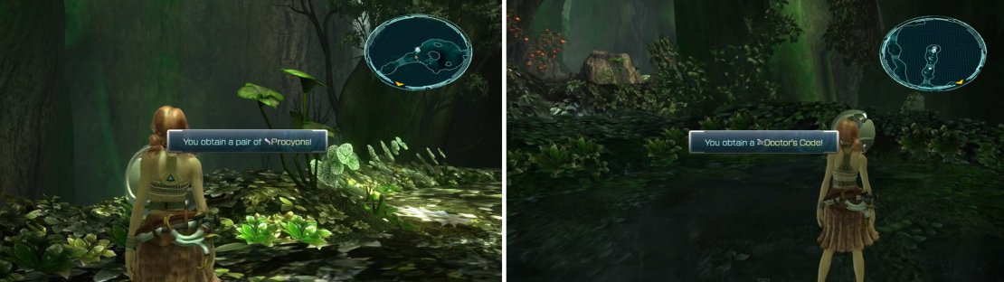 Don&rsquo;t miss both the Procyons (left) and Doctor&rsquo;s Code (right).