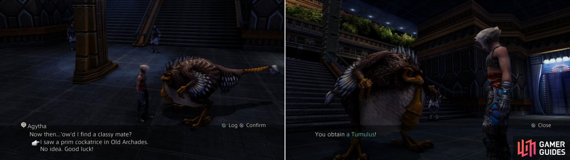 Chase down Agytha in the Grand Arcade and tell her about the Cockatrice you found in Old Archades (left) and she&rsquo;ll give you a Tumulus (right).
