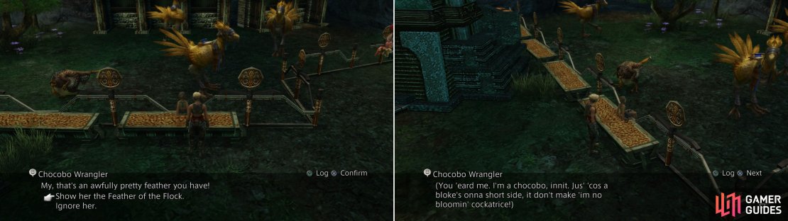 Show the Chocobo Wrangler the Feather of the Flock (left) after which you&rsquo;ll overhear a rather odd &ldquo;Chocobo&rdquo; (right).