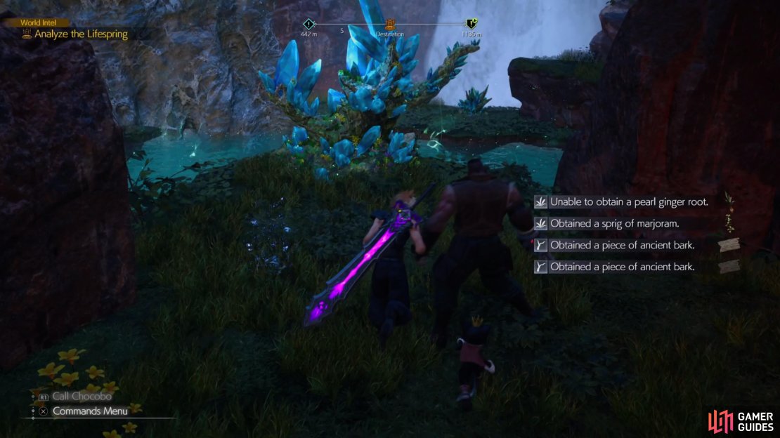There are plenty of activities to dig into in the open world