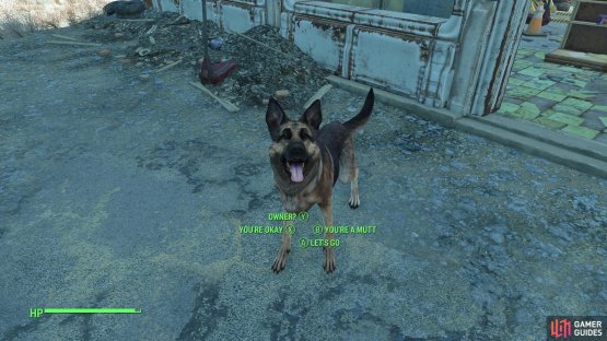 At the Red Rocket Truck Stop you&rsquo;ll meet a very good boy who&rsquo;s in the market for a human pal to follow around.