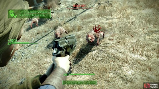 then fend off the Mole Rats which surface and attack.