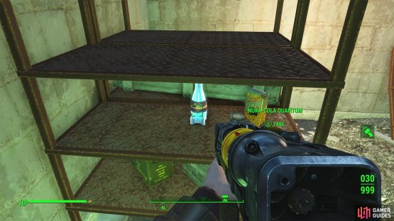and a Nuka-Cola Quantum.