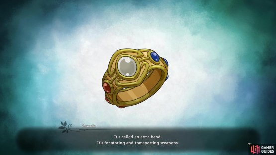 The arms band allows you to collect and store weapons