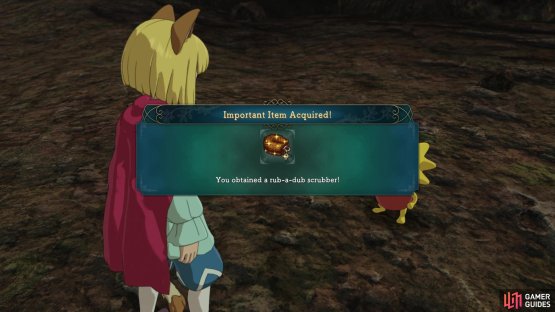 After a normal battle, you&rsquo;ll receive the scrubber