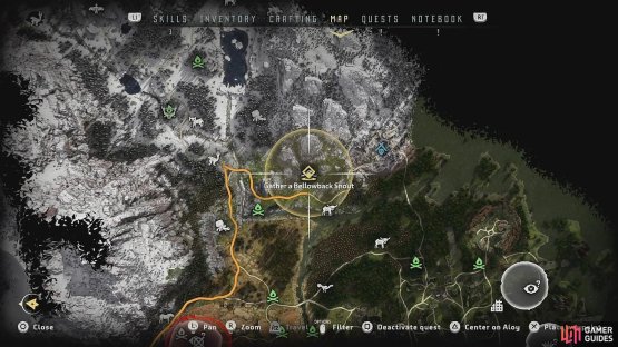 Go to the Bellowback site