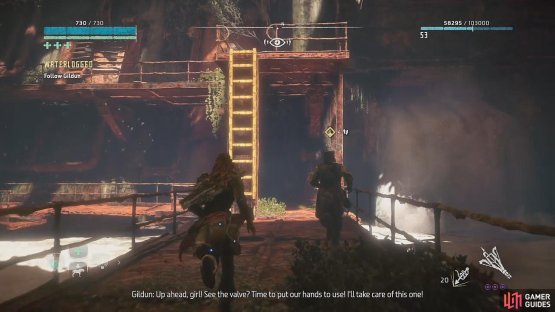 Climb the ladder to reach the access tunnel to the left