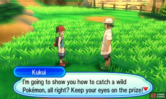 Kukui will use his trusty Rockruff to catch a wild Grubbin.
