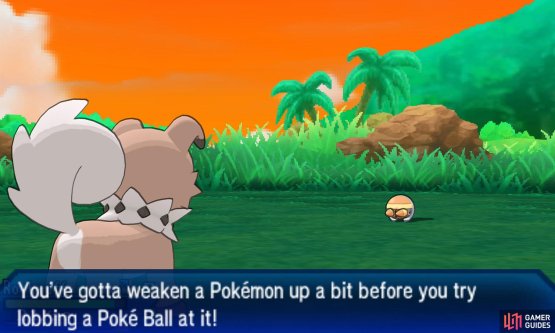 Pok&eacute;mon: Ultra Sun & Moon Screenshot