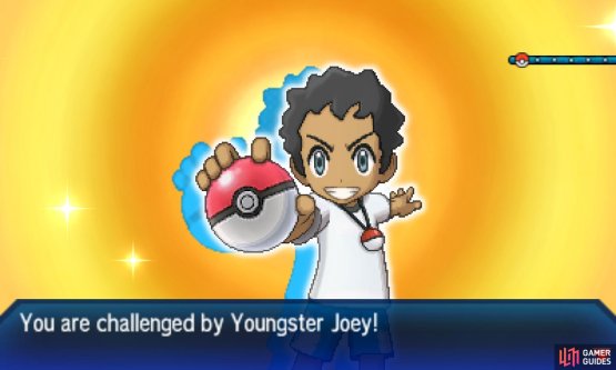 Pok&eacute;mon: Ultra Sun & Moon Screenshot