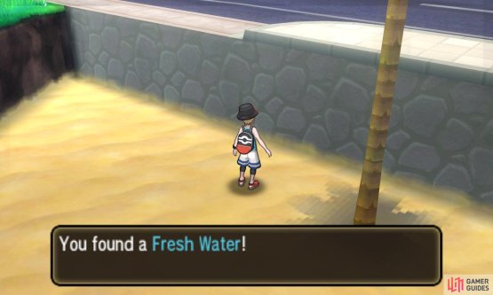 Pok&eacute;mon: Ultra Sun & Moon Screenshot