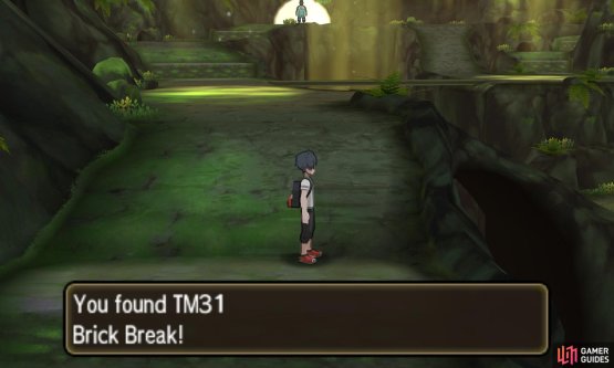 Brick Break also breaks Alolan Ninetales&rsquo; Aurora Veil.