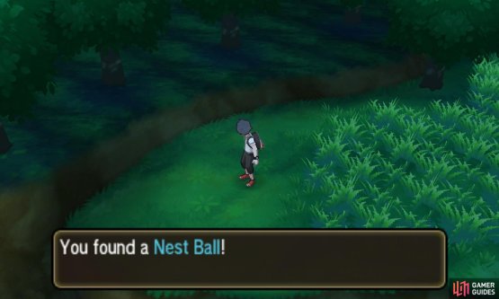 More areas become accessible when you get new Ride Pokémon.