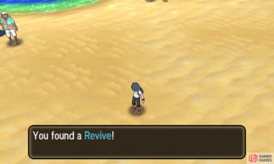 Pok&eacute;mon: Ultra Sun & Moon Screenshot