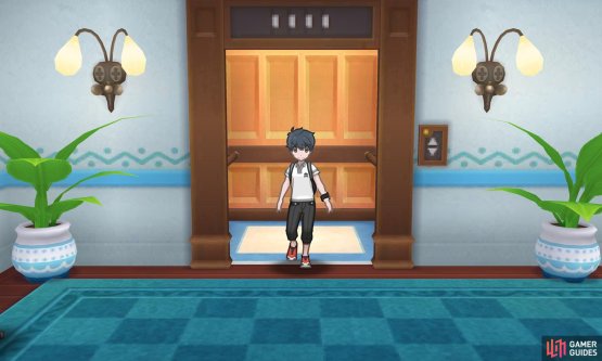 Pok&eacute;mon: Ultra Sun & Moon Screenshot