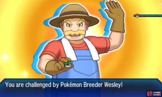 Pok&eacute;mon: Ultra Sun & Moon Screenshot