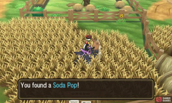 Pok&eacute;mon: Ultra Sun & Moon Screenshot