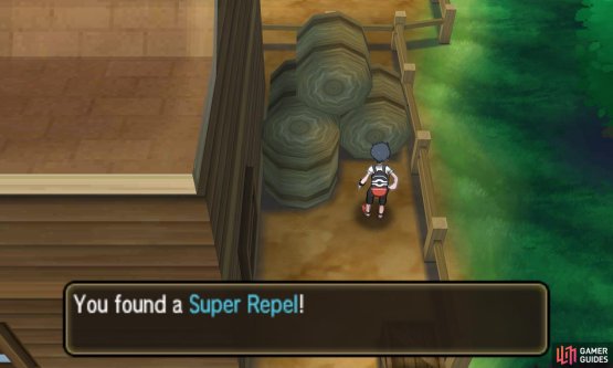 Pok&eacute;mon: Ultra Sun & Moon Screenshot