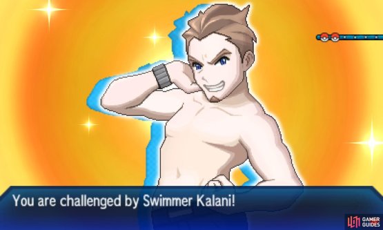 Pok&eacute;mon: Ultra Sun & Moon Screenshot