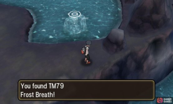 Frost Breath ignores your Pok&eacute;mon&rsquo;s stat drops and the opponent&rsquo;s stat gains.