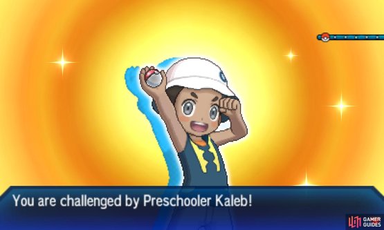 Pok&eacute;mon: Ultra Sun & Moon Screenshot