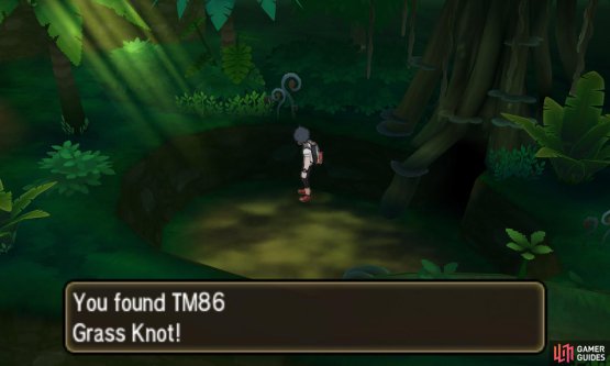 Pok&eacute;mon: Ultra Sun & Moon Screenshot