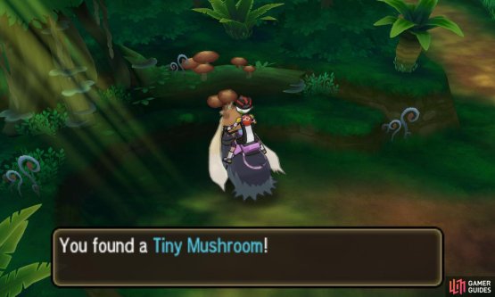 Mushrooms of all sizes can be sold to Pok&eacute; Marts.