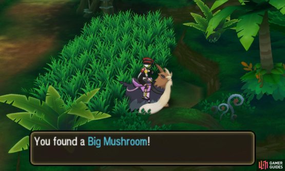 Pok&eacute;mon: Ultra Sun & Moon Screenshot