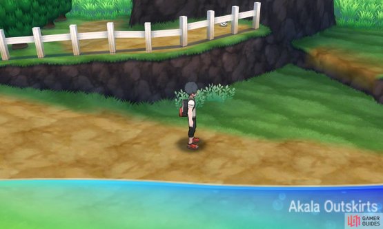 Prepare yourself. Akala Island&rsquo;s strongest trainer is just around the corner.