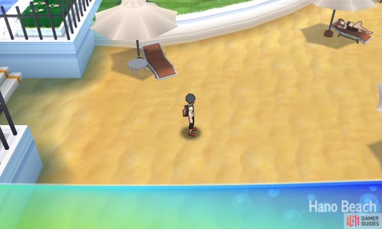 What treasures will we find on this beach?