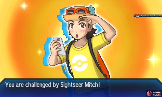Pok&eacute;mon: Ultra Sun & Moon Screenshot