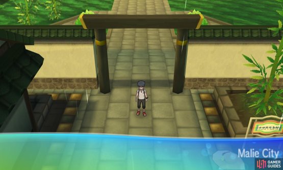 Your tour of Malie City begins in earnest!