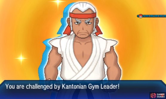 Pok&eacute;mon: Ultra Sun & Moon Screenshot
