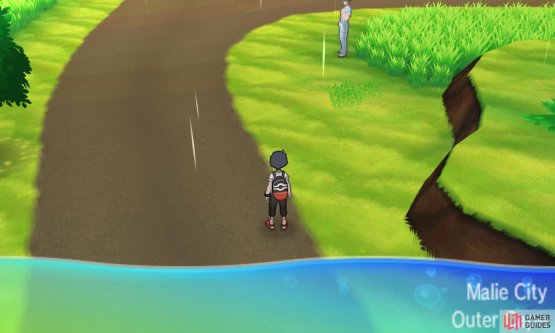Pok&eacute;mon are useful for everything, including waste management!