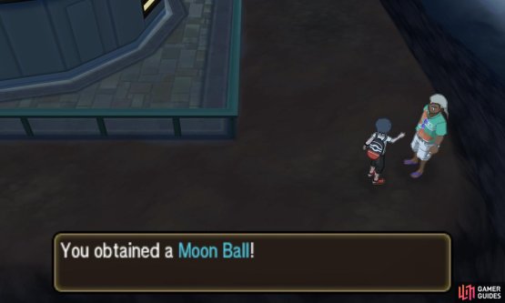 Pok&eacute;mon: Ultra Sun & Moon Screenshot
