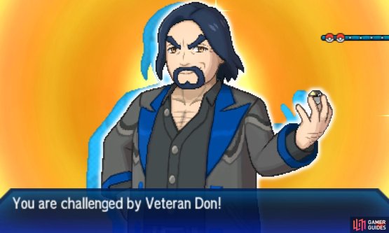 Pok&eacute;mon: Ultra Sun & Moon Screenshot
