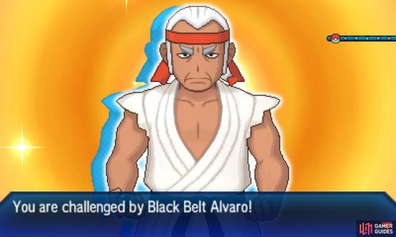 Pok&eacute;mon: Ultra Sun & Moon Screenshot