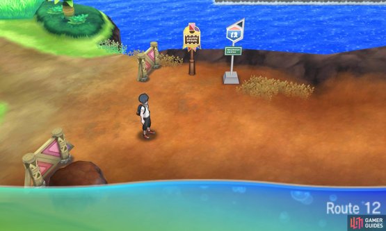 The road ahead is rough for your feet, but hopefully not your Pok&eacute;mon.