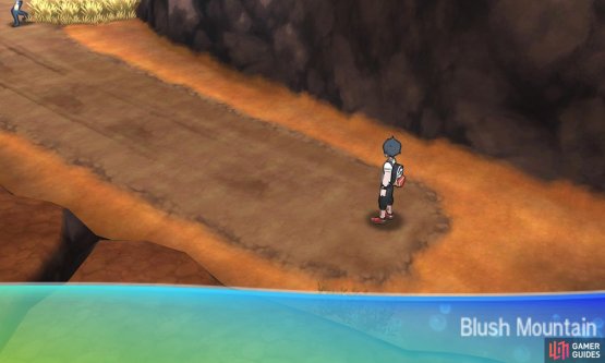 Pok&eacute;mon like Charjabug and Crabrawler only evolve at certain places.