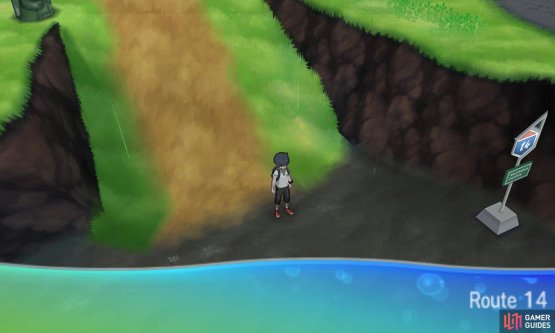 This depressing path leads to a not-so-lively supermarket.