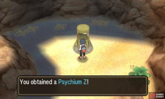 Psychic-types benefit the most from this trip to the desert.