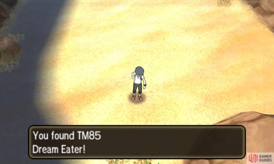 Pok&eacute;mon: Ultra Sun & Moon Screenshot