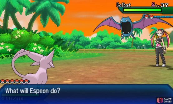 Pok&eacute;mon: Ultra Sun & Moon Screenshot