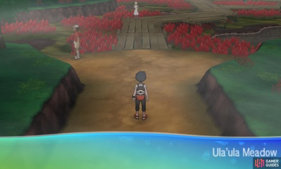 This meadow is where the passionate Baille Style Oricorio dwells.