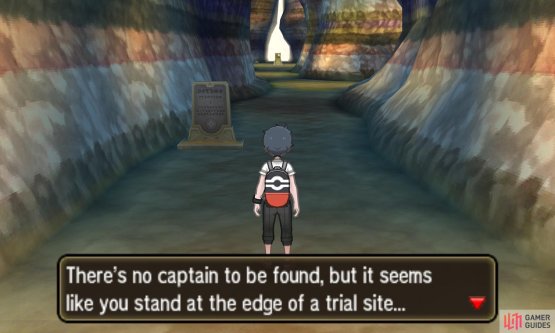 No captain is watching, but the Pok&eacute;mon on the other hand&hellip;