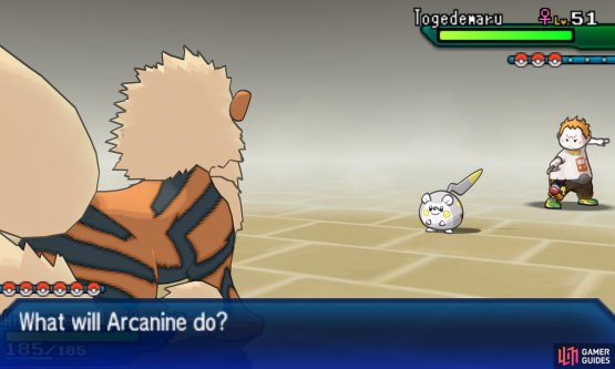 Pok&eacute;mon: Ultra Sun & Moon Screenshot